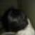 :iconcocsi07: