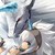 :iconcodaboy0: