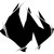 :iconcode-name-wyz:
