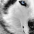 :iconcode0615:
