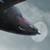 :iconcodeine-extorts: