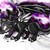 :iconcodenamedarkspyro: