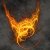 :iconcodenomics: