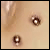:iconcodex: