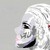 :iconcodexvalkyrie: