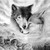 :iconcodiac-rayonnante: