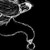 :iconcody-terionar:
