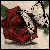 :iconcodypenguito: