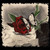 :iconcodypenguito: