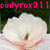 :iconcodyrox911: