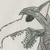:iconcoe-coe-coe: