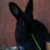 :iconcoffeeandwine: