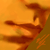 :iconcoffeelust: