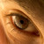 :iconcog513: