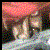 :iconcognition-incognito: