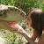 :iconcoin-operated-doll: