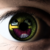 :iconcold-fusion-fox69: