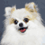 :iconcold-nightmare: