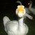:iconcoldbreeeze: