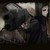 :iconcoldfrost: