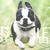 :iconcoldfushion: