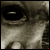 :iconcoldsilence: