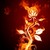 :iconcoldstream11: