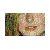 :iconcoldtigerlilly: