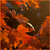:iconcoldwater622: