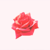 :iconcolena-des: