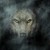 :iconcolipedia: