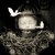 :iconcollage-lodge: