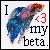 :iconcollaner:
