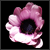 :iconcolleen-fr: