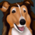 :iconcolliefan: