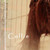 :iconcollierantero: