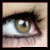 :iconcolligany: