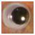 :iconcoloneleyeball: