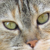 :iconcolonelpopcorn: