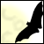 :iconcolonyhaven:
