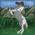 :iconcoloradopeak-stables: