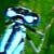 :iconcoloredlife: