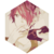 Colorful-X-Melody :iconcolorful-x-melody:
