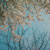 :iconcolorfullnight: