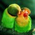 :iconcolorfulreflections: