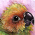 :iconcolorfulrhapsody: