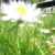 :iconcolorfulworld111: