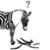 :iconcolorfulzebra: