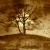 :iconcolorofangels: