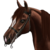 :iconcolors-stables: